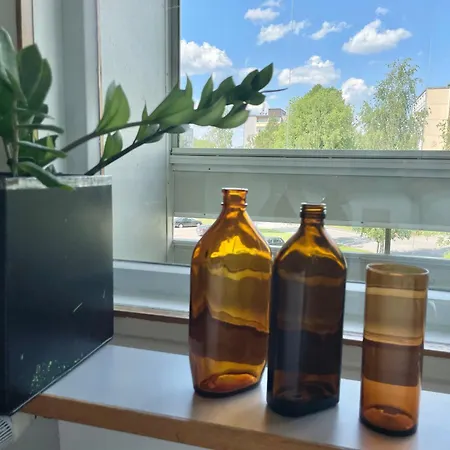 Huoneisto Tyylikaes Kolmio Puiston Laidalla Forssa
